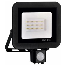 LED reflektor s senzorjem LED/30W/230V IP65