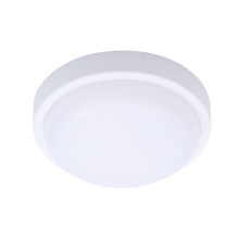 LED Zunanja stropna svetilka SIENA LED/13W/230V pr. 17 cm IP54 bela