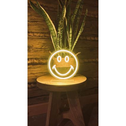 2Kids Toys - LED Neon namizna dekoracija LED/USB smiley