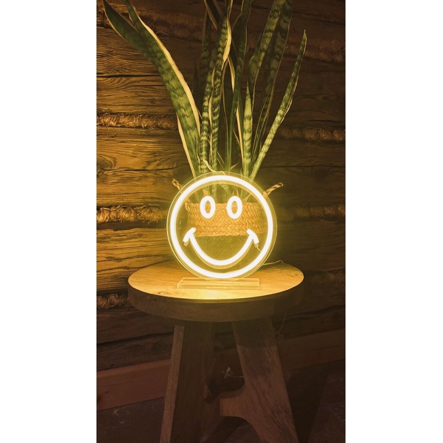 2Kids Toys - LED Neon namizna dekoracija LED/USB smiley