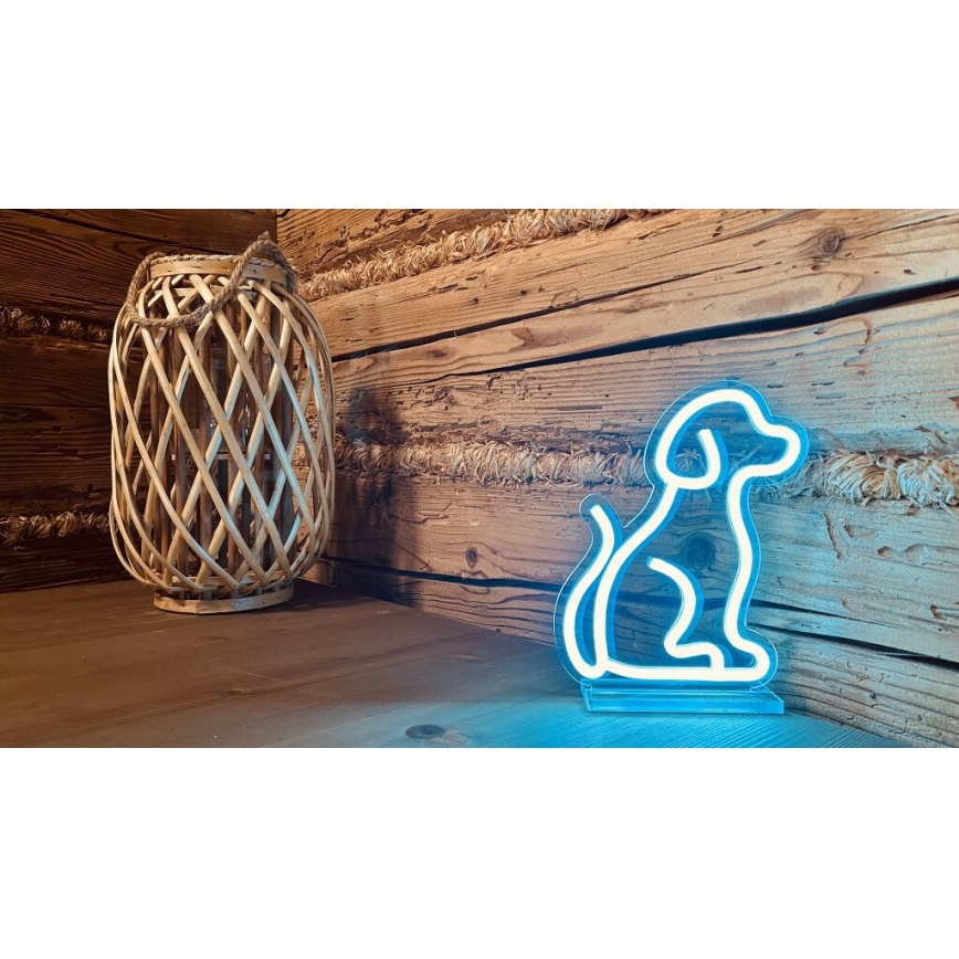 2Kids Toys - LED Neonska namizna dekoracija LED/USB pes