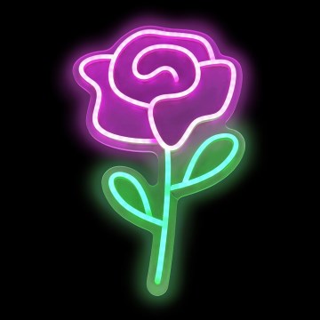 2Kids Toys - LED Neonska stenska dekoracija LED/USB vrtnica