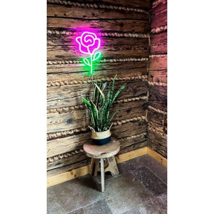 2Kids Toys - LED Neonska stenska dekoracija LED/USB vrtnica