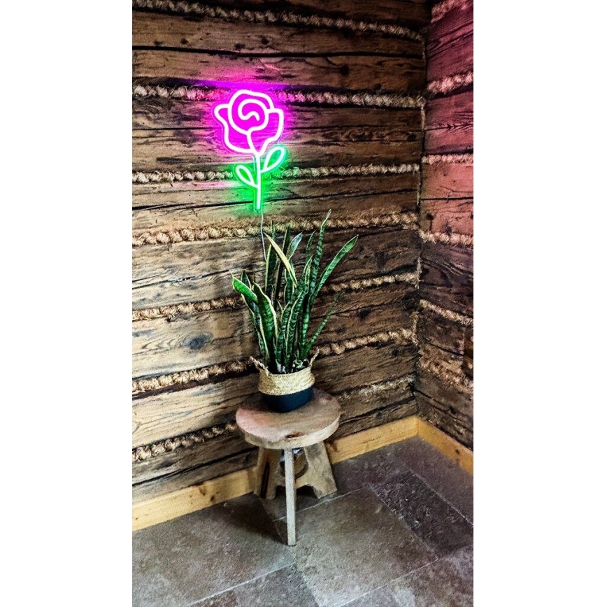 2Kids Toys - LED Neonska stenska dekoracija LED/USB vrtnica