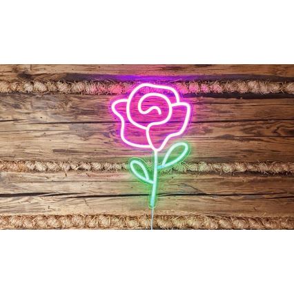 2Kids Toys - LED Neonska stenska dekoracija LED/USB vrtnica