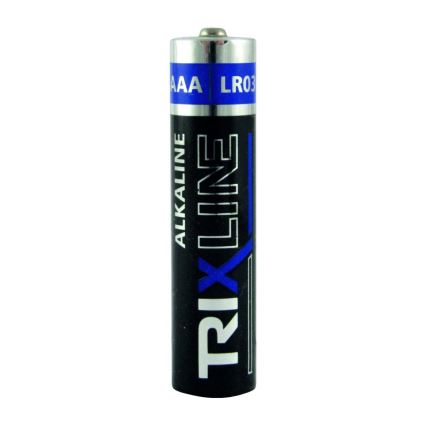4 kos Alkalna baterija AAA 1,5V