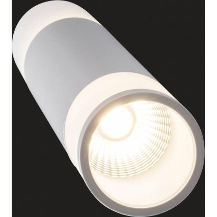 AEG - LED Zatemnitveni lestenec na vrvici ABBY LED/10W/230V