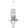 Aigostar - Avto žarnica H1 P14,5s/55W/12V