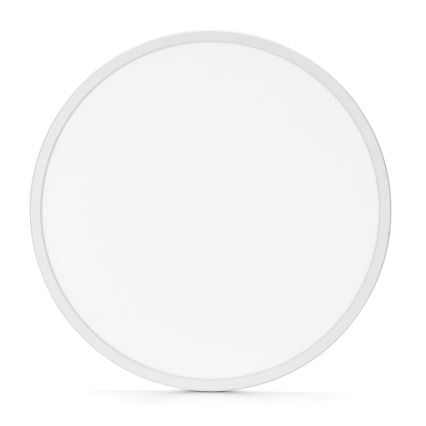 Aigostar - LED Kopalniška stropna svetilka LED/24W/230V 6500K pr. 40 cm IP44