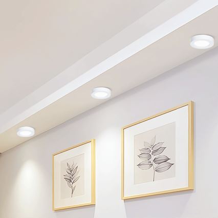 Aigostar - LED Nadgradna stropna svetilka LED/12W/230V pr. 17,4 cm 6500K bela