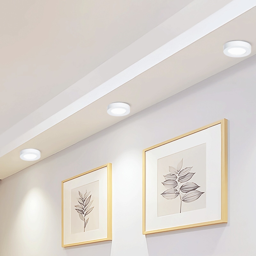 Aigostar - LED Nadgradna stropna svetilka LED/12W/230V pr. 17,4 cm 6500K bela