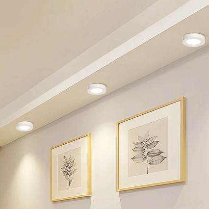 Aigostar - LED Nadgradna stropna svetilka LED/18W/230V pr. 22,6 cm 4000K bela
