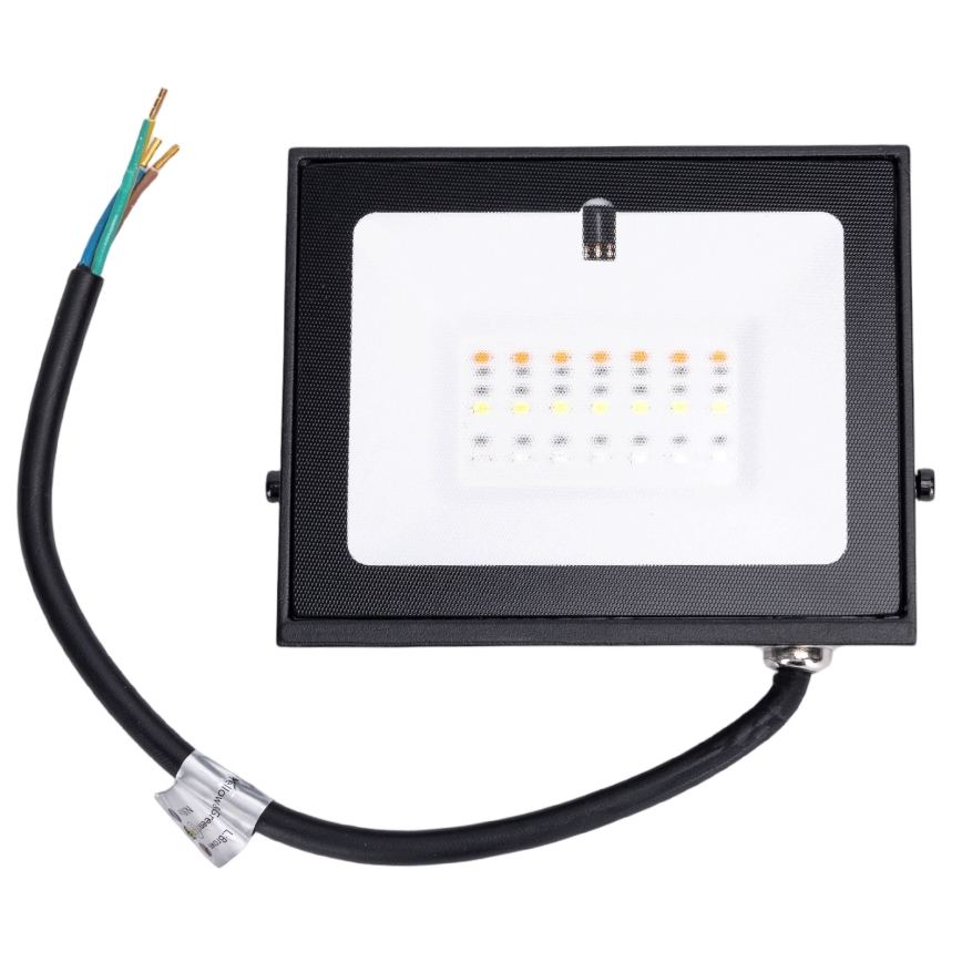 Aigostar - LED RGB reflektor LED/10W/230V IP65 + daljinski upravljalnik