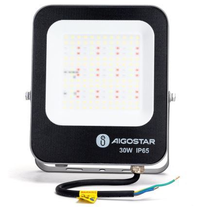 Aigostar - LED RGBW Reflektor MESH MESH LED/30W/230V 6500K IP65 + Daljinski upravljalnik