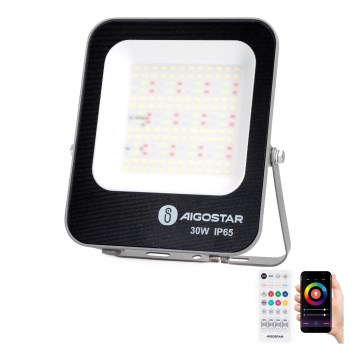 Aigostar - LED RGBW Reflektor MESH MESH LED/30W/230V 6500K IP65 + Daljinski upravljalnik
