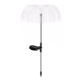 Aigostar - LED Solarna dekorativna svetilka LED/0,03W/1,2V 70cm 300 mAh 6500K IP44