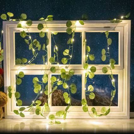 Aigostar - LED Solarna veriga 100xLED/12m IP65 topla bela evkaliptos