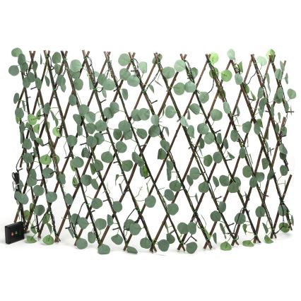 Aigostar - LED Solarna veriga 102xLED/2x0,7m IP65 topla bela evkaliptos