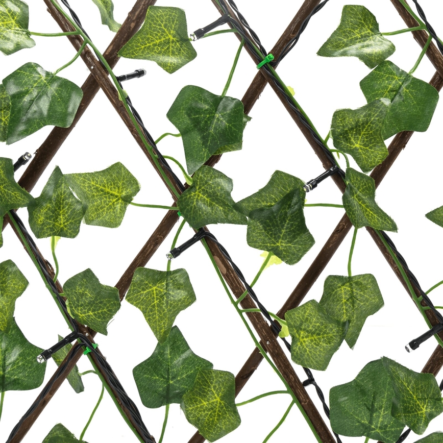 Aigostar - LED Solarna veriga 56xLED/2x0,4m IP65 topla bela ivy