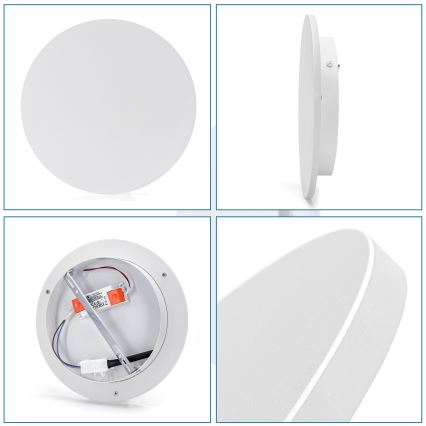 Aigostar - LED stensko svetilo LED/12W/230V 6500K 25 cm bela