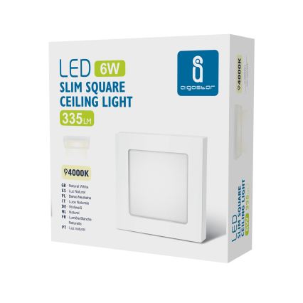 Aigostar - LED stropna nadgradna svetilka LED/6W/230V 4000K 12,2x12,2 cm bela