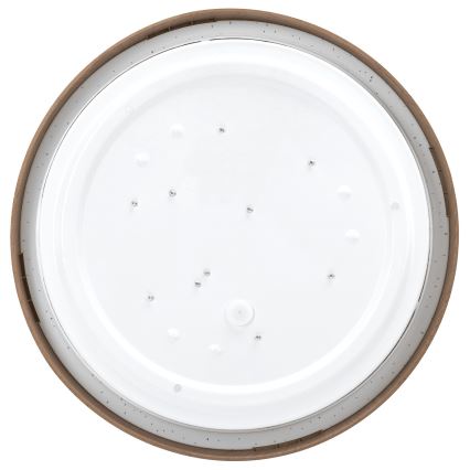Aigostar - LED Stropna svetilka LED/12W/230V 3000K pr. 26,3 cm