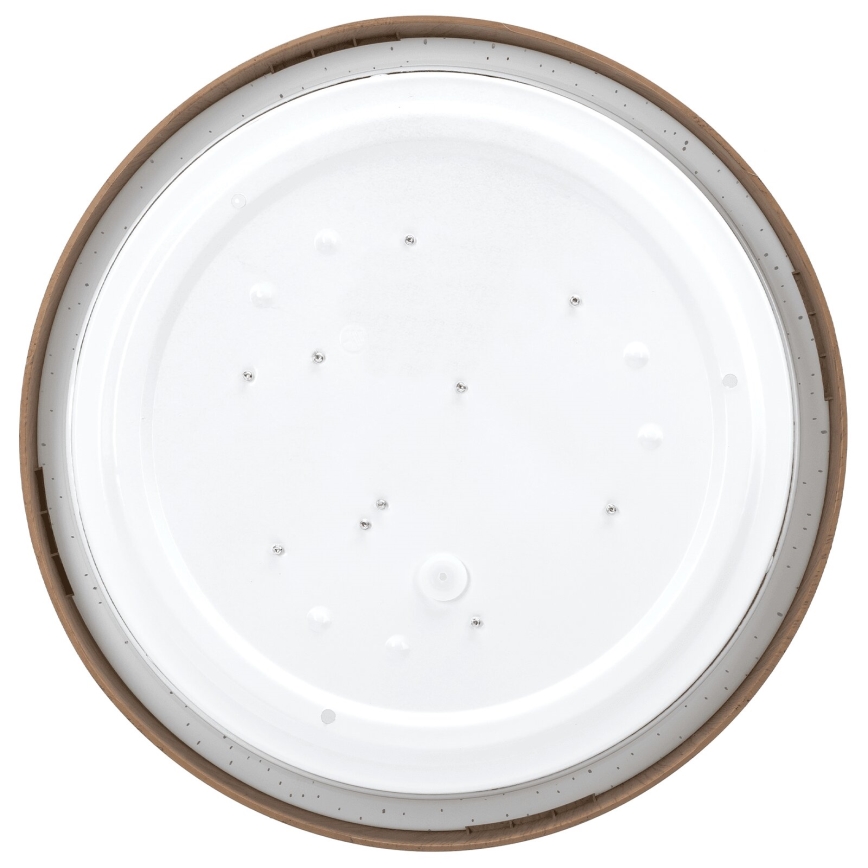 Aigostar - LED Stropna svetilka LED/12W/230V 3000K pr. 26,3 cm