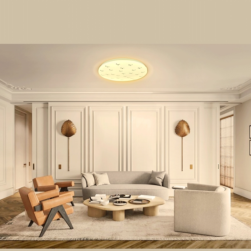 Aigostar - LED Stropna svetilka LED/12W/230V 3000K pr. 26cm