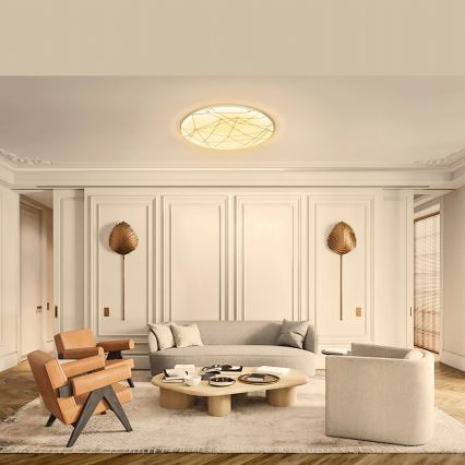 Aigostar - LED Stropna svetilka LED/12W/230V 3000K pr. 26cm