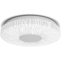 Aigostar - LED Stropna svetilka LED/12W/230V 3000K pr. 26cm