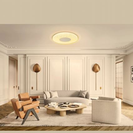 Aigostar - LED Stropna svetilka LED/12W/230V 3000K pr. 26cm