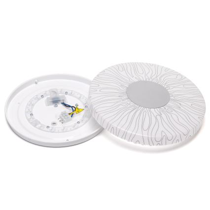 Aigostar - LED Stropna svetilka LED/12W/230V 6500K pr. 26cm