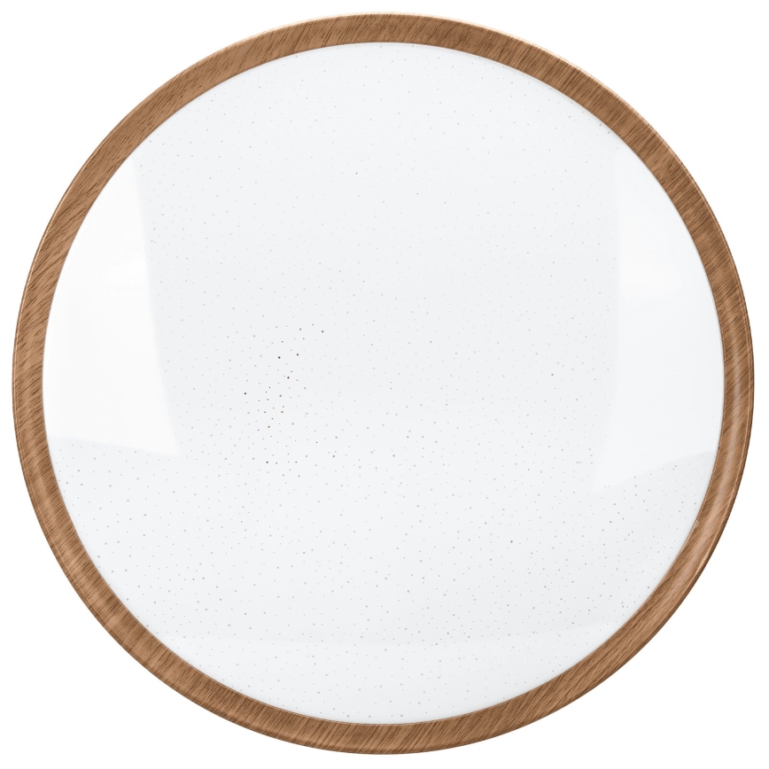 Aigostar - LED Stropna svetilka LED/24W/230V 3000K pr. 38,3 cm