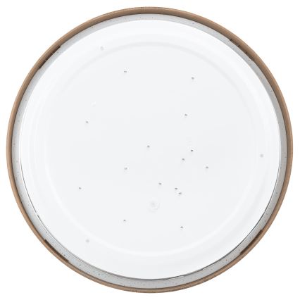 Aigostar - LED Stropna svetilka LED/24W/230V 3000K pr. 38,3 cm