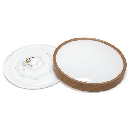 Aigostar - LED Stropna svetilka LED/24W/230V 3000K pr. 38,3 cm