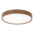 Aigostar - LED Stropna svetilka LED/24W/230V 6500K pr. 38,3 cm