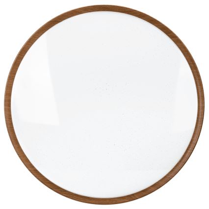 Aigostar - LED Stropna svetilka LED/36W/230V 3000K pr. 48,1 cm