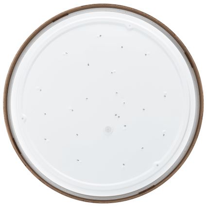 Aigostar - LED Stropna svetilka LED/36W/230V 3000K pr. 48,1 cm