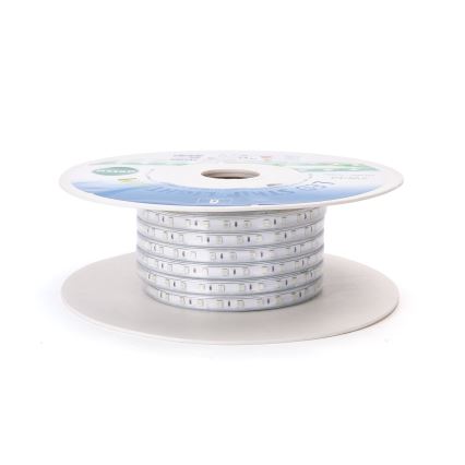 Aigostar - LED Trak LED/350W/230V 50m zelena IP65