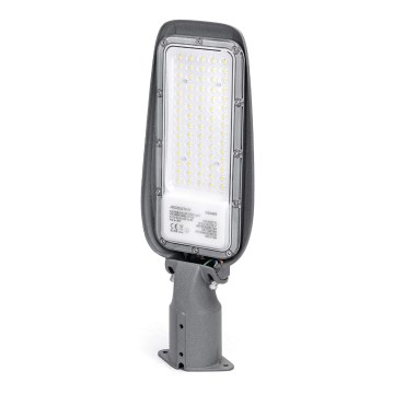 Aigostar - LED ulična svetilka SLIM LED/50W/230V 6500K IP65