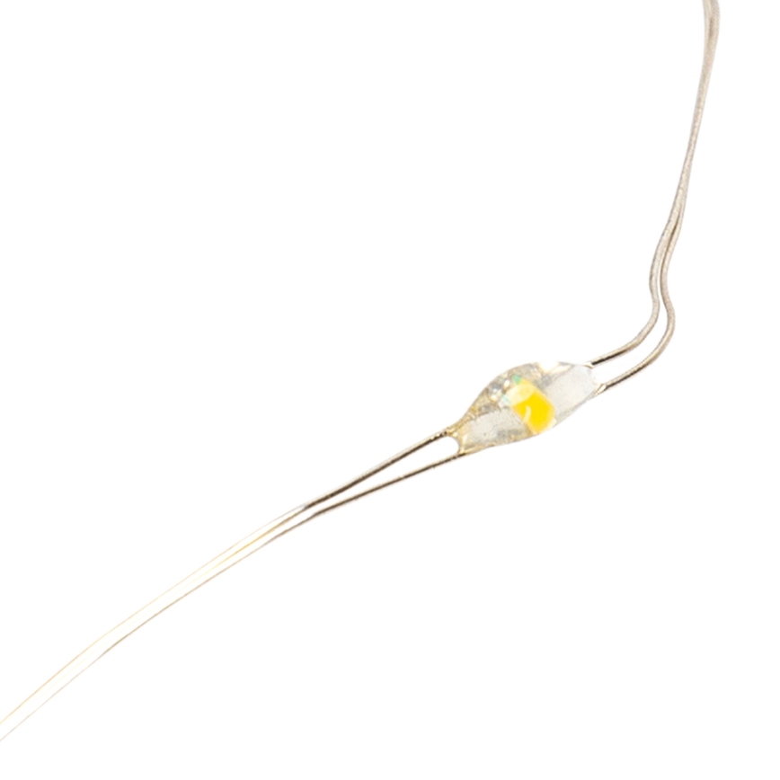 Aigostar - LED veriga 20xLED/2x3V 2m topla bela