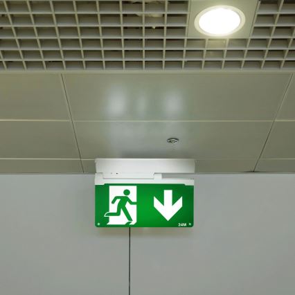 Aigostar - LED Zasilna svetilka EMERGENCY EXIT LED/3,6W/230V 6500K 500mAh