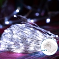 Aigostar - LED Zunanja božična veriga 100xLED/8 funkcij 10,3m IP44 hladno bela