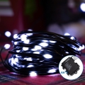Aigostar - LED Zunanja božična veriga 100xLED/8 funkcij 10,3m IP44 hladno bela