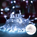 Aigostar - LED Zunanja božična veriga 100xLED/8 funkcij 10,3m IP44 hladno bela