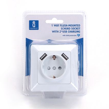 Aigostar - Stenska vtičnica SCHUKO 250V + 2x USB z okvirjem, bela