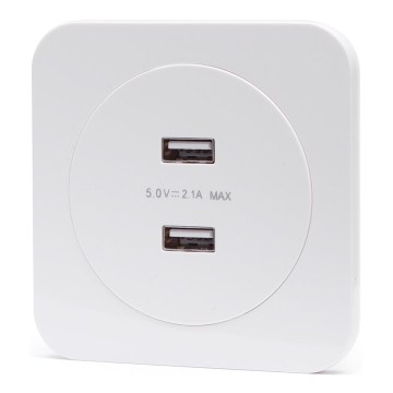 Aigostar - USB napajalna vtičnica z okvirjem 2x USB-A, bela