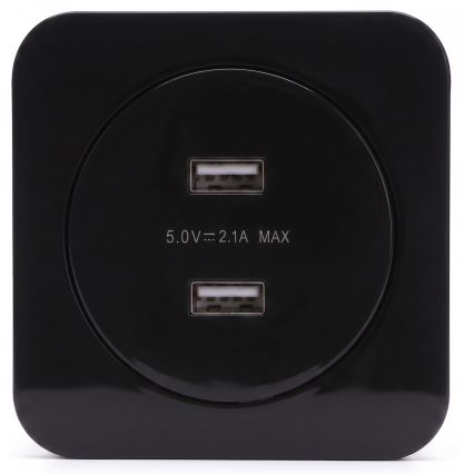 Aigostar - USB napajalna vtičnica z okvirjem 2x USB-A črna