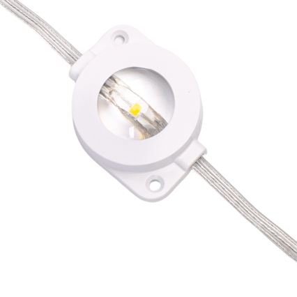 Aigostar - LED zatemljiv zunanji božični niz 50xLED/8 funkcij 20m IP44 večbarven + daljinski upravljalnik