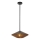 Alora Mood - Lestenec na drogu DAPHNE 1xE27/60W/230V pr. 38,1 cm črna